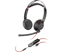 博诣 Poly Blackwire C5220 双耳头戴式有线耳机 (8X231AA)
