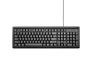 惠普 (HP) 100单键盘 (2UN30AA)